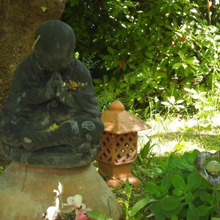 Orangerie De - L'oranger * Cardet
