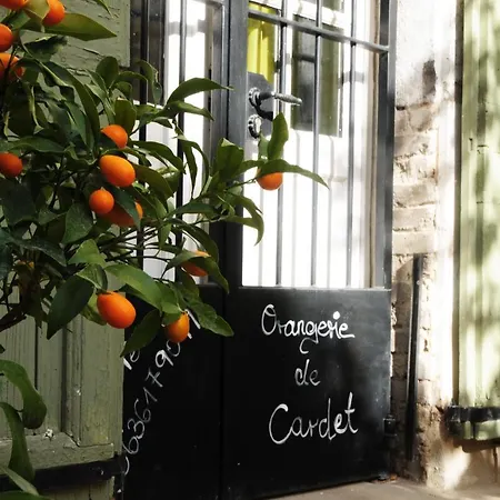 Orangerie De - L'oranger
